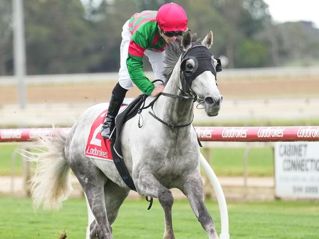 Dodgy One can return to winning ways stepping up in trip at Cranbourne on Friday night. Picture: Racing Photos via Getty Images.