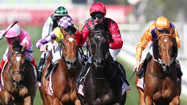 Group 1 winner Prized Icon looks well placed at Scone on Saturday. Picture: Michael Klein