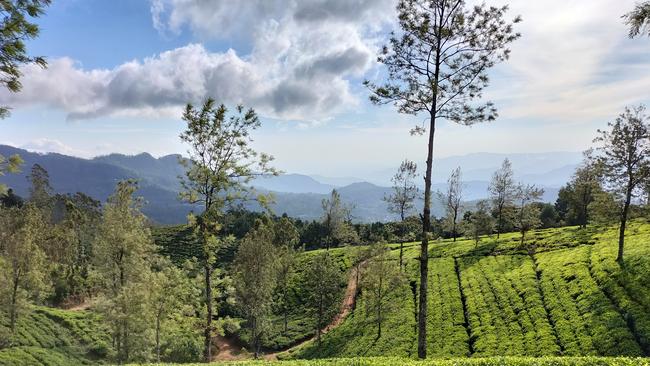 The Pekoe Trail in Sri Lanka