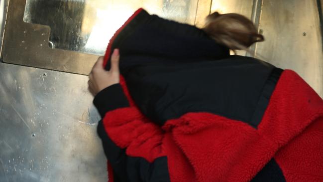 Anita Zarshoy was charged with affray over the incident outside Parramatta Local Court.