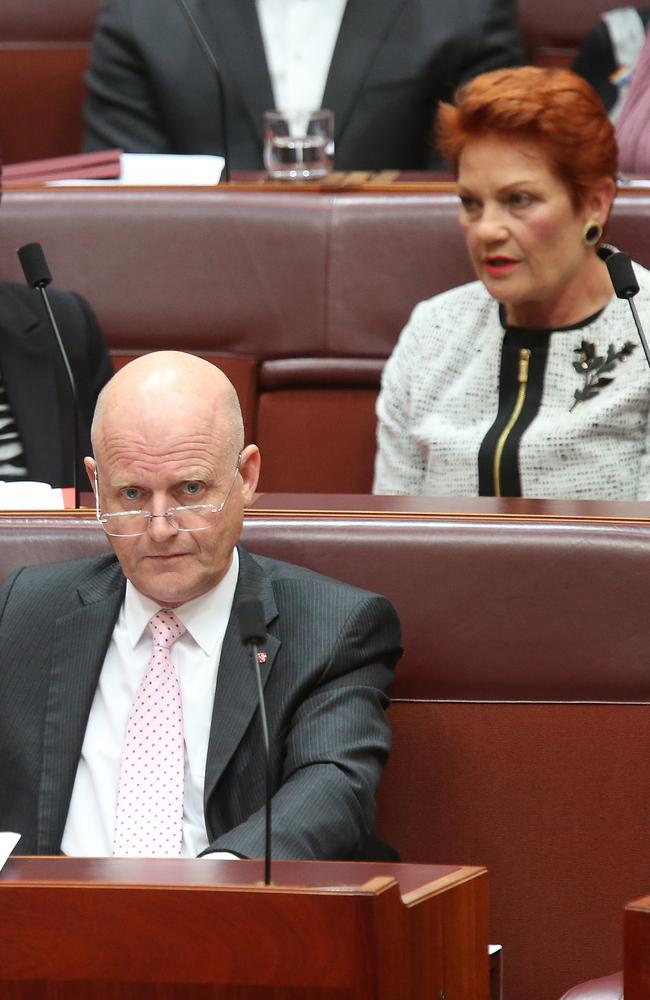 Senator David Leyonhjelm and One Nation leader Pauline Hanson. Picture Kym Smith