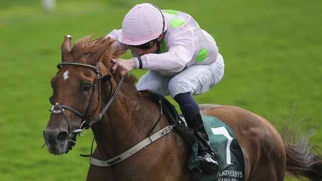 Vauban will been in top form this year, winning the Lonsdale Cup at York last weekend. Picture: Alan Crowhurst/Getty Images