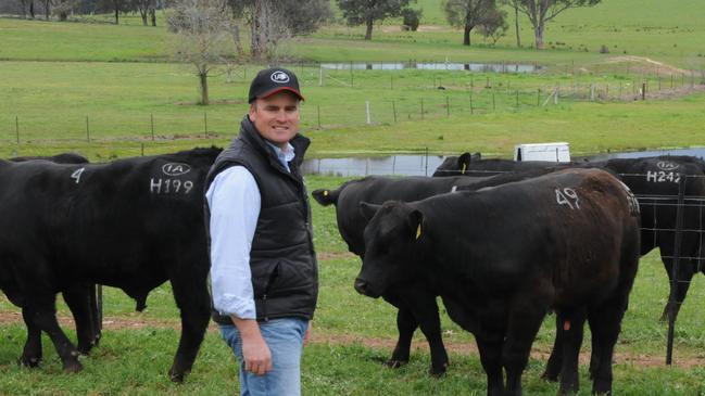 Ireland Angus bull sale Corey Ireland with some of the sale bulls.