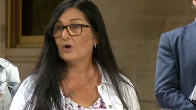 Michelle Liddle spoke parliament on Tuesday ahead of lodging a submission about youth crime