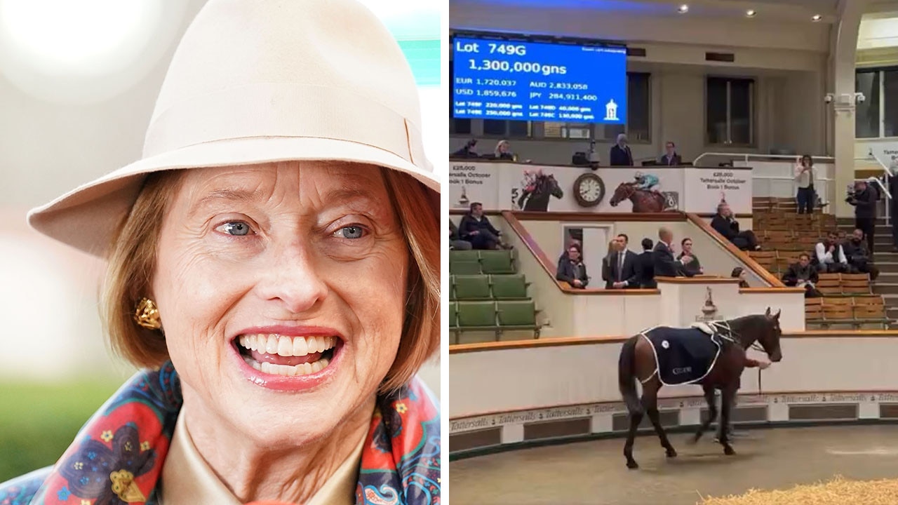 Yes Sir: $2.7m import to step out for Gai and Adrian