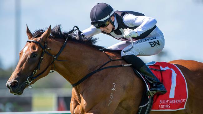 Isotope blew the start at Doomben before charging home for second to Goldsborough.