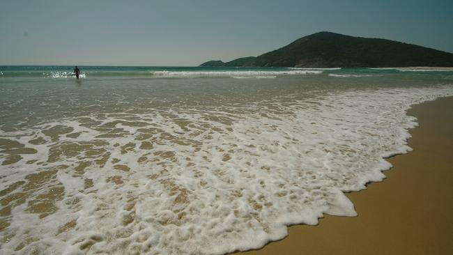 Hat Head beach, NSW. Photo: Melissa Rimac