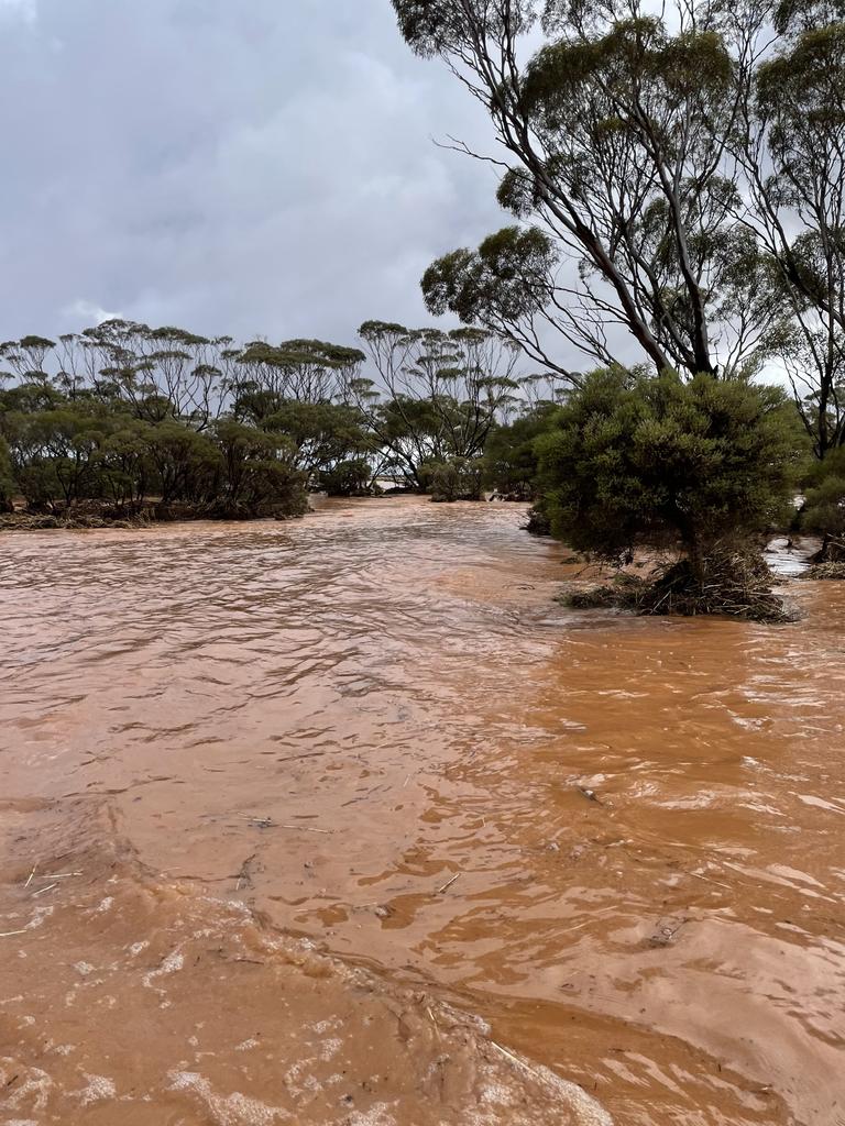 Photos of flooding at Donaldson Rd, Buckleboo near the Gawler Rangers, Eyre Peninsula. Photo: Heather Baldock