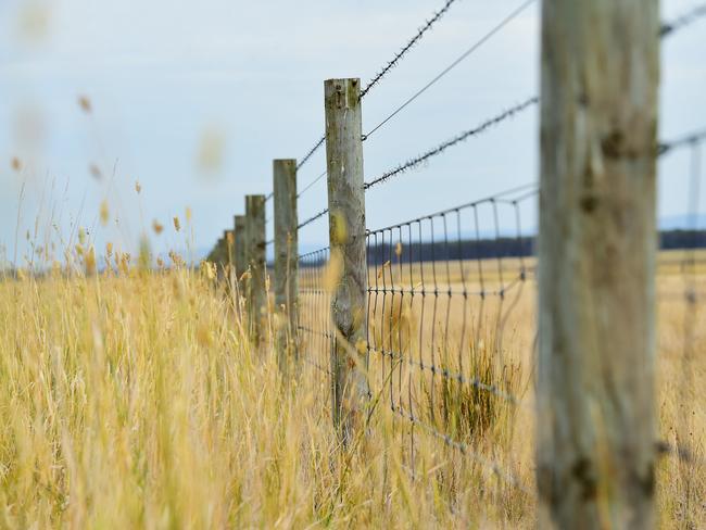 FARM: 90 Mile Biodynamic Steve Ronaldson runs 90 Mile Biodynamic cattle and sheep at Woodside beach.Pictured: Generic farm. Fence. Fencing. Ringlock and barbed wire.PICTURE: ZOE PHILLIPS