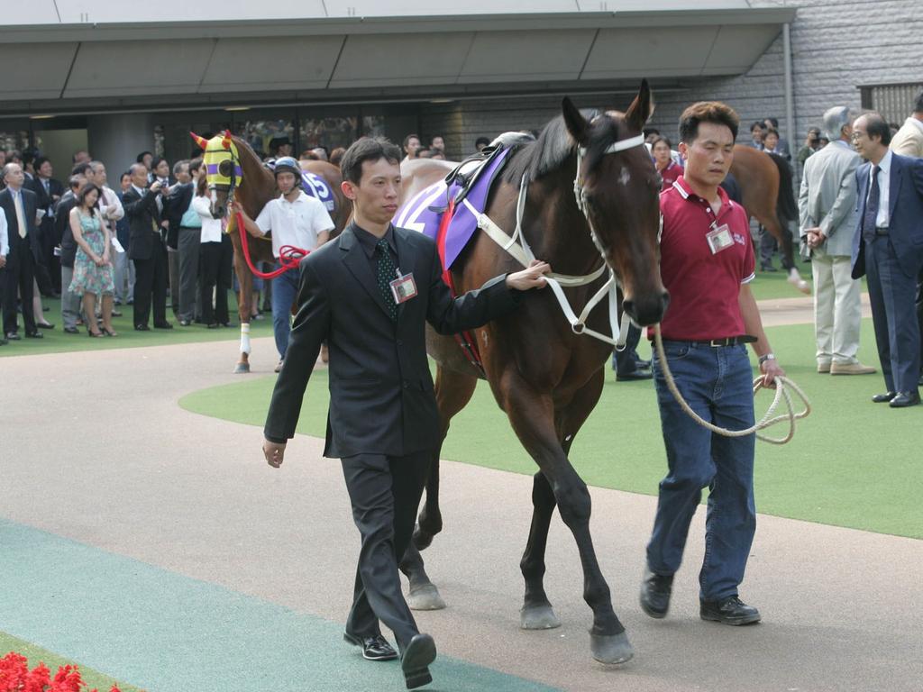 Cody Mo travelled overseas with Hong Kong champion Silent Witness. Picture: HKJC