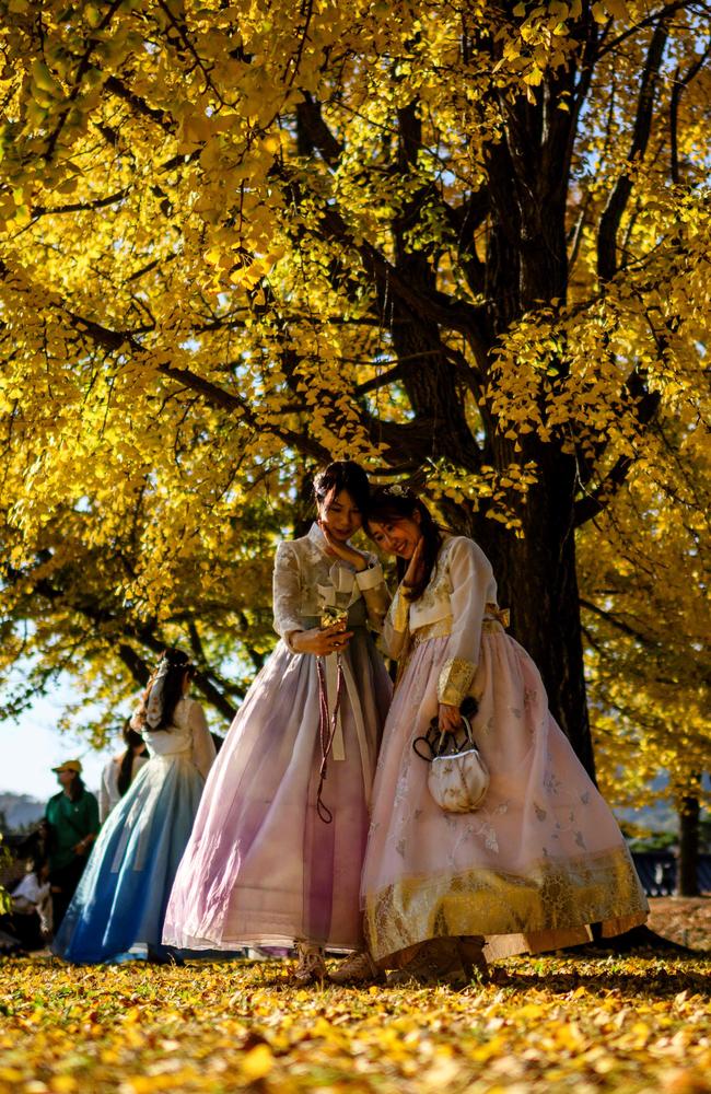 Women wearing traditional Hanbok dresses pose for a selfie under an autumnal ginkgo tree in the Gyeongbokgung Palace grounds in Seoul. Picture: Anthony Wallace/AFP