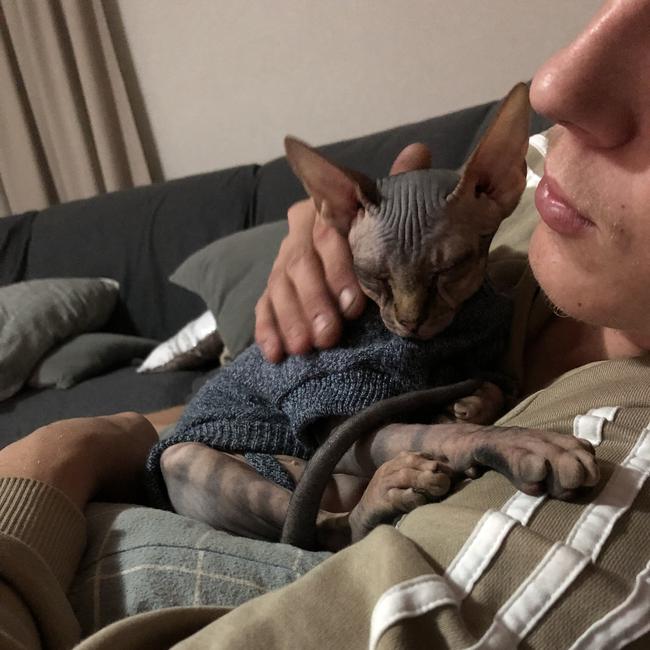 Brax gets a little cold in the winter. He’s 8-months-old and loves his jumper and snuggles with my son, Ethan. Brax, the Sphinx cat, is the most affectionate cat in the world! Picture: Robyn Mander
