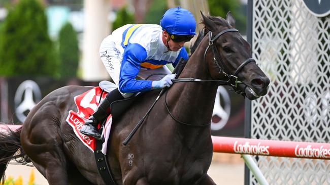 Jigsaw has had one start down the Flemington straight for an unplaced result. Picture: Vince Caligiuri/Getty Images