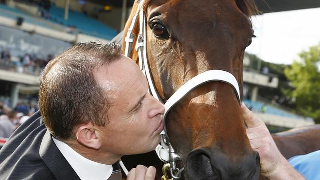 Chris Waller will chase back to back Cox Plates with mighty mare Winx. Picture: Michael Klein