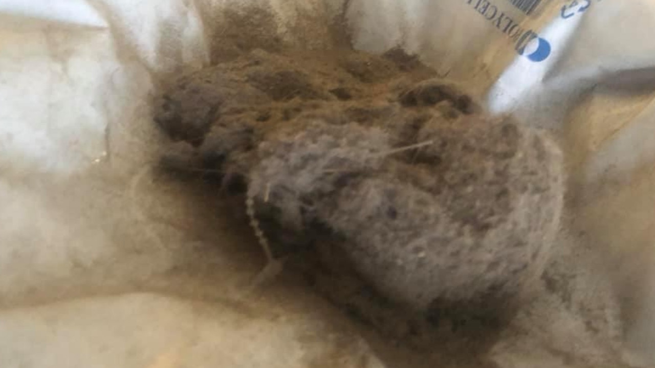 She was both impressed and embarrassed by the amount of dust and gunk it had collected from her home. Picture: Facebook/Mumswhoclean