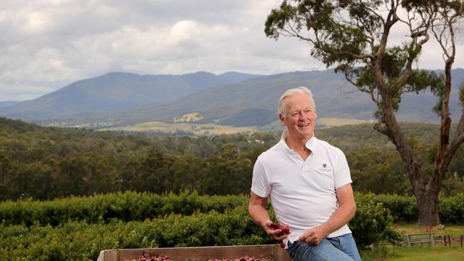 Andrew Fairley at his property in Gruyere. Picture: Stuart McEvoy.