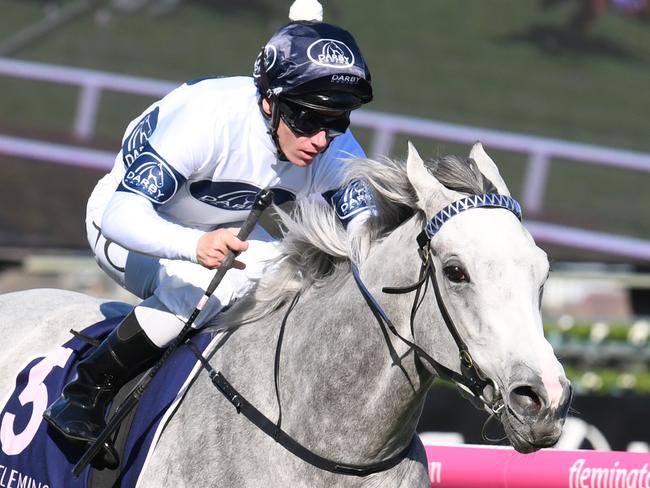 MELBOURNE, AUSTRALIA - SEPTEMBER 26:  Tim Clark riding Greysful Glamour winning Race 6,  Kennedy Oaks Trial   during Melbourne Racing at Flemington Racecourse on September 26, 2018 in Melbourne, Australia.  (Photo by Vince Caligiuri/Getty Images)