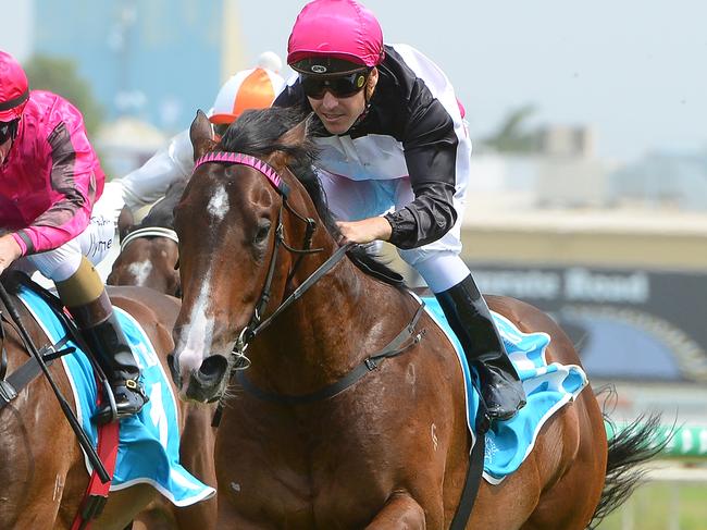 The Drinks Cart salutes at the Gold Coast. Picture: Trackside Photography