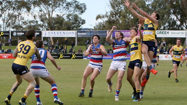 Three-goal Jack Hayes rises high in the contest for Woodville-West Torrens in its victory over Central District. Picture: AAP/Emma Brasier