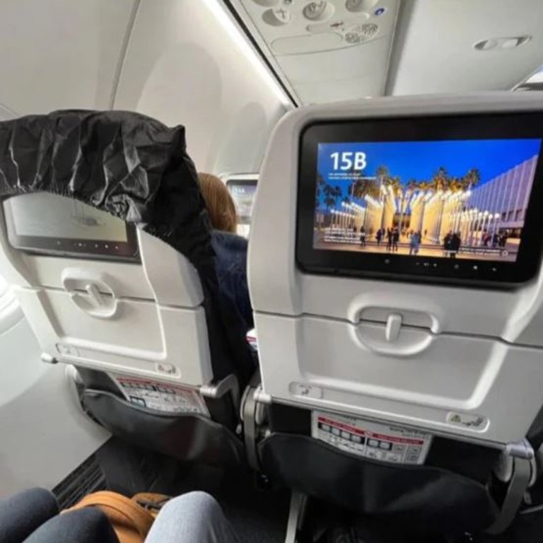 Passenger blocks fellow passenger’s TV screen. Picture: Reddit