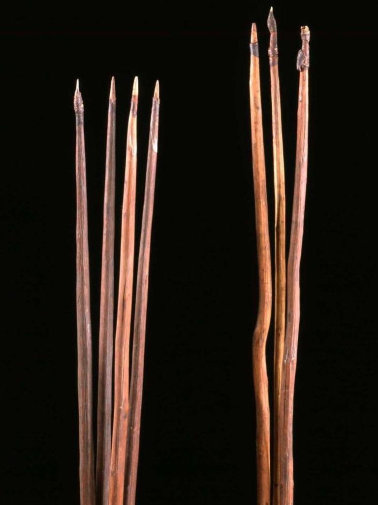 Two of the spears given to Lord Sandwich, Captain Cook's patron. They are among more than 40 spears collected at Botany Bay in 1770. The four spears were used for hunting and fishing for food. Picture: supplied: Cambridge University Museum of Archaeology and Anthropology