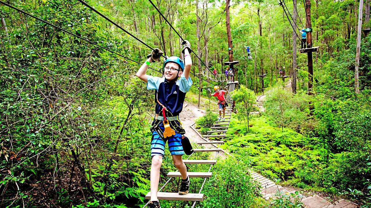 The TreeTop Challenge already runs high ropes and zipline courses in Brisbane and on the Gold Coast, and will open this summer at the Big Pineapple in Nambour. Picture: Contributed