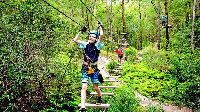 The TreeTop Challenge already runs high ropes and zipline courses in Brisbane and on the Gold Coast, and will open this summer at the Big Pineapple in Nambour. Picture: Contributed