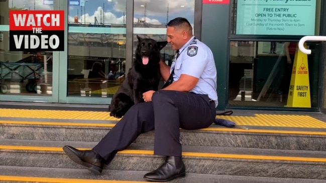 Police dog Bravo found safe and well after restless weekend for handler