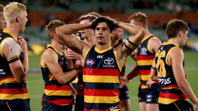 The Crows are hopeful of re-signing Shane McAdam. Picture: James Elsby/AFL Photos via Getty