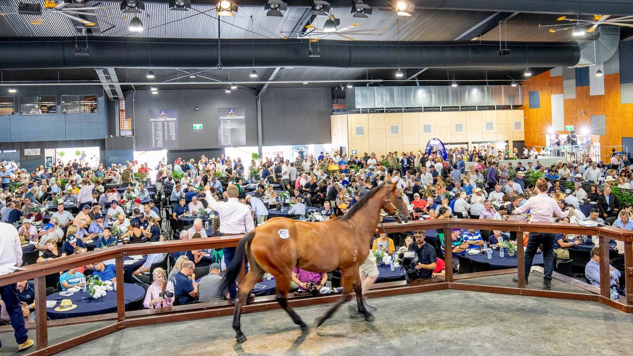 Gold Coast Magic Millions yearling sale racks up 1m sales Gold Coast Bulletin
