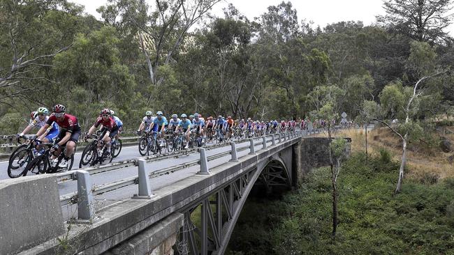 CYCLING - Tour Down Under - Subaru Stage 3 - 23/01/20 - Unley to Paracombe. The peloton makes its way over a bridge in and around Cudlee Creek Picture SARAH REED