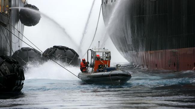 Michael Shellenberger argues that Greenpeace did not save whales, it was a commercial decision. Picture: Greenpeace/Rezac