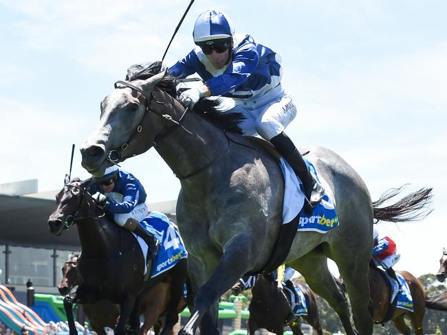 Impressive debut winner My Gladiola will attempt to remain unbeaten in Saturday's Group 2 Blue Diamond Prelude for fillies at Caulfield. Picture: Racing Photos via Getty Images.