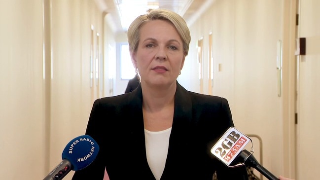 Plibersek says govt is restricting regional access to university