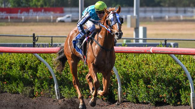 The Gary Clarke trained Wolfburn won at Fannie Bay with jockey Jarrod Todd on May 25, 2024. Picture: Caroline Camilleri