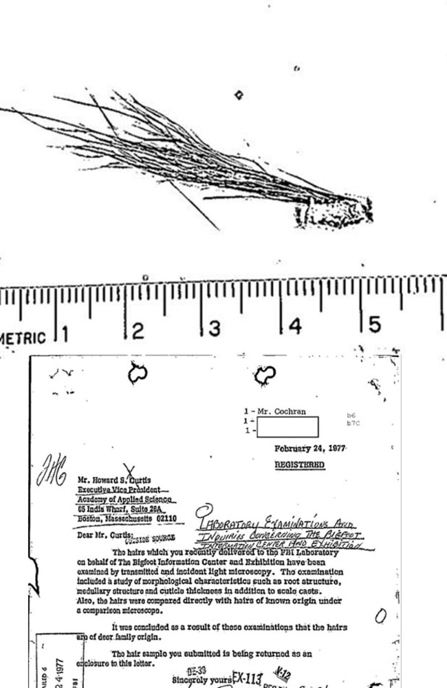 A photocopy image of the sample, top, and the FBI lab's letter defining its findings. Pictures: FBI