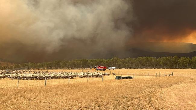 Super-dry soils have dried out forests and pastures, as fires whip across paddocks with hardly any fuel.