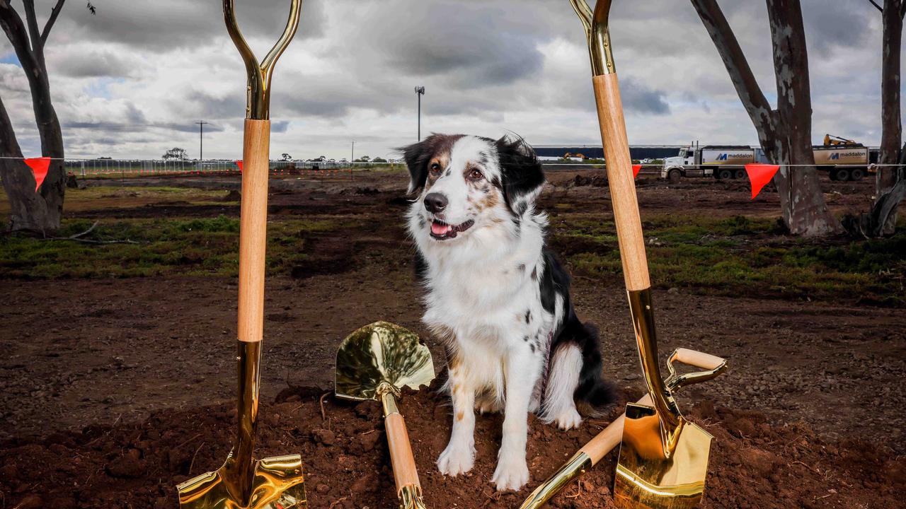 Work starts on the new Petspiration Group regional office and training hub, distribution centre and on-site dog daycare. Picture: Supplied