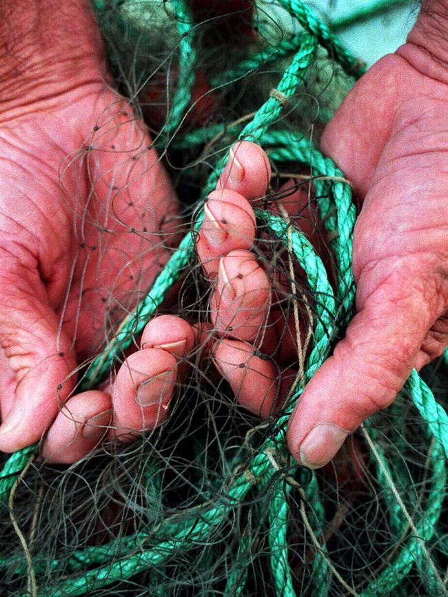 Commercial fisherman use a mesh netting to catch fish. Picture: Supplied