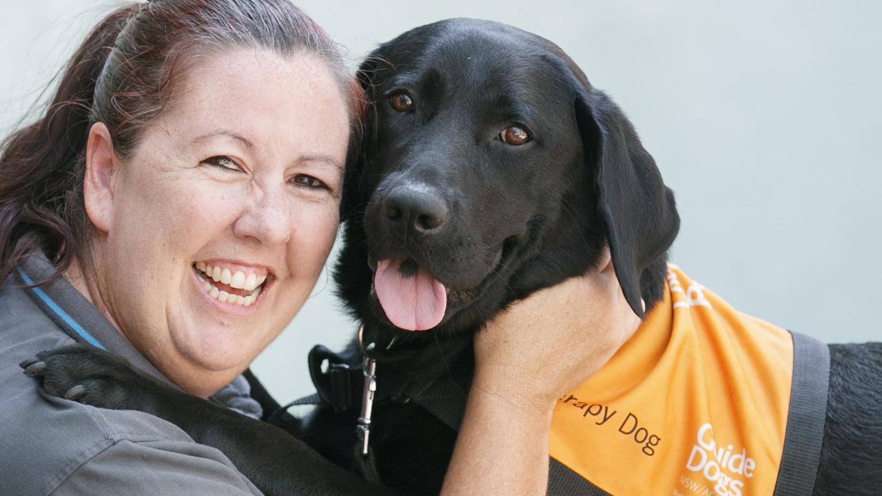 Fiona Lamont out front of Sutherland Court with therapy dog "China".Guide Dogs NSW/ACT is involved in a pilot of canine support program in the ACT Magistrates Court. They have Therapy Dogs and a handler engage with parties, witnesses and other people involved in court proceedings to minimize stress and anxiety.Photo: Tim Pascoe