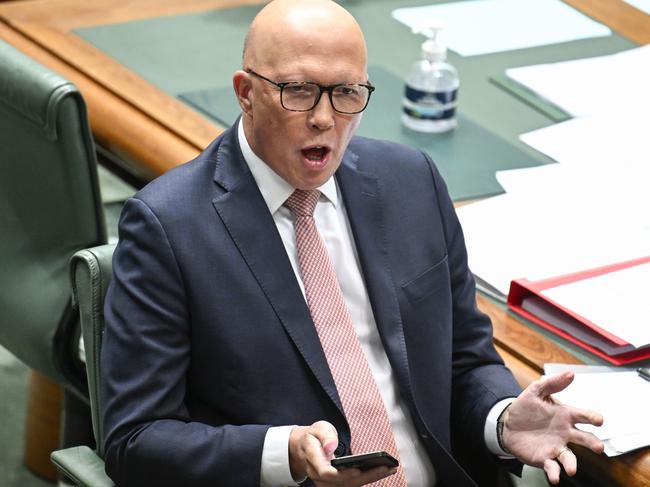 Peter Dutton said it’s a “deep concern” that the nurse, who he claimed “hates our country”, could “get through the net” and be granted citizenship. Picture: NewsWire / Martin Ollman