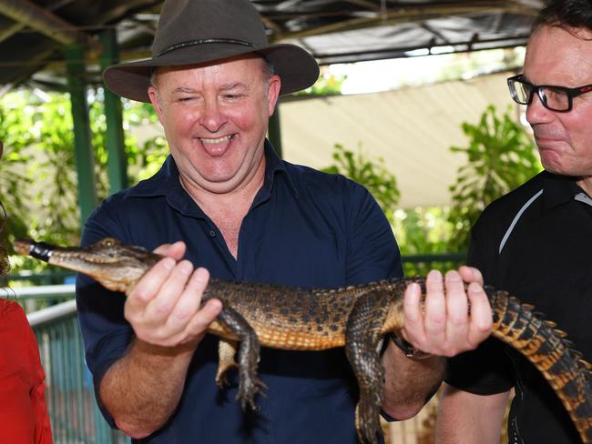 Anthony Albanese visits Crocodylus park in 2020 in a bid to encourage tourism to the NT and its borders. Picture: Katrina Bridgeford