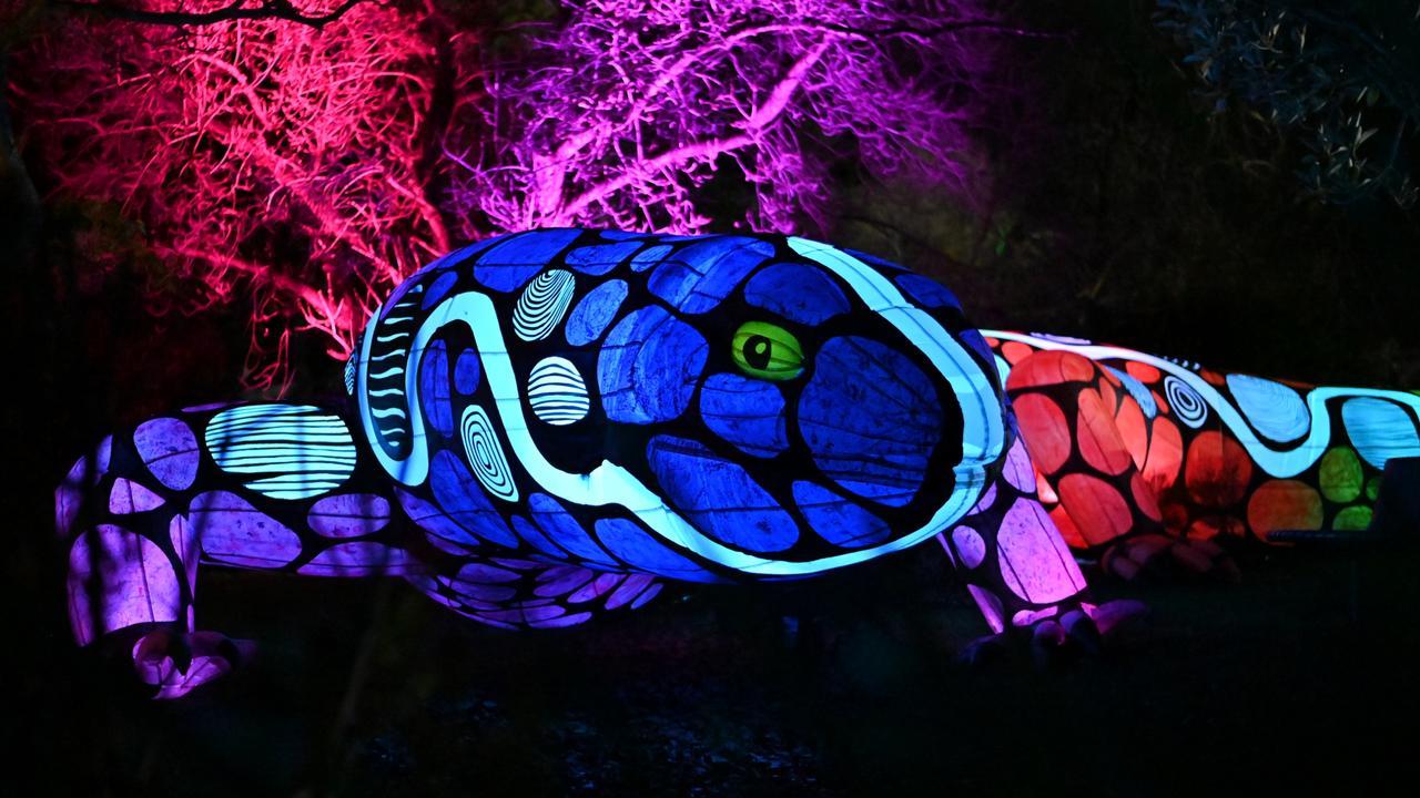 Light Creatures at the Adelaide Zoo .  Picture: Frankie The Creative