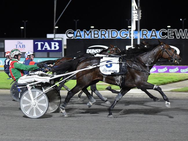 Just Believe winning the inaugural TAB trot at Cambridge Raceway, New Zealand, April 12, 2024. Picture: Race Images