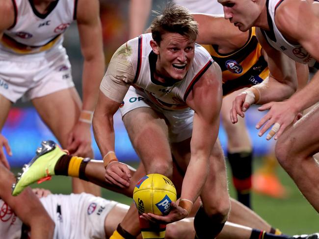 More people are now allowed to watch the Adelaide Crows. Picture: James Elsby/AFL Photos via Getty Images