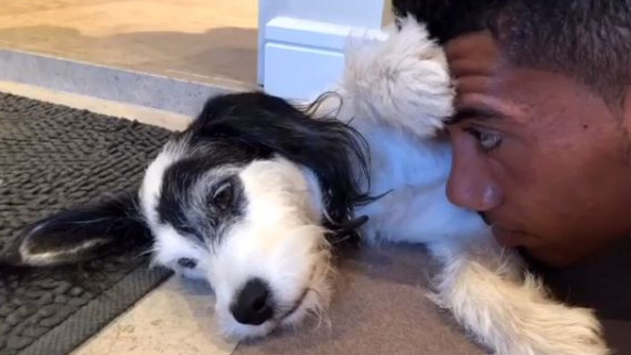 England football star Chris Smalling was devastated tonight after his dog died in a suspected poisoning.