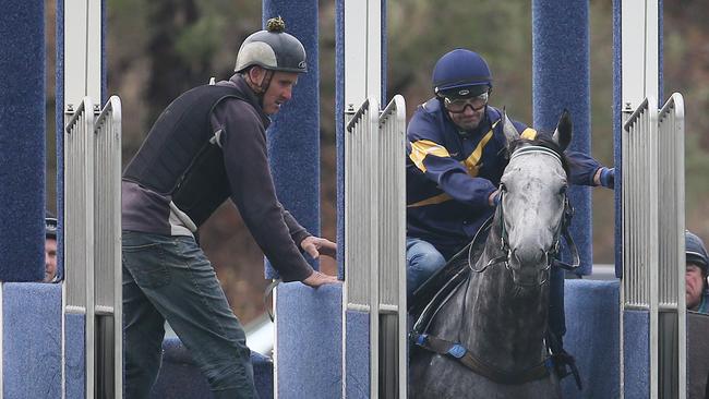 Not. Going. Anywhere. Chautauqua refuses to jump again.