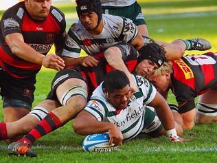 Shute Shield Rugby Semi