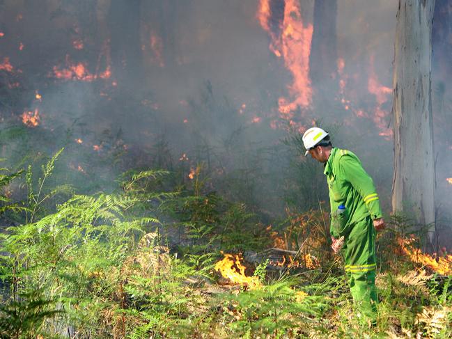 The Department of Sustainability and Environment (DSE) fuel reduction burn at Lorne.Darren Baulderas (Lorne DSE) sets fire to the bush