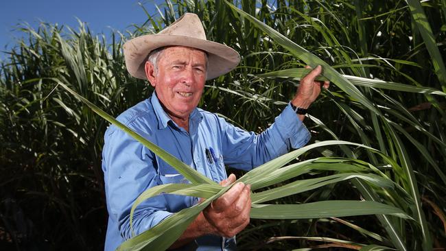 Cane farmers are seeking better bargaining powers with millers. Picture: Brendan Radke.